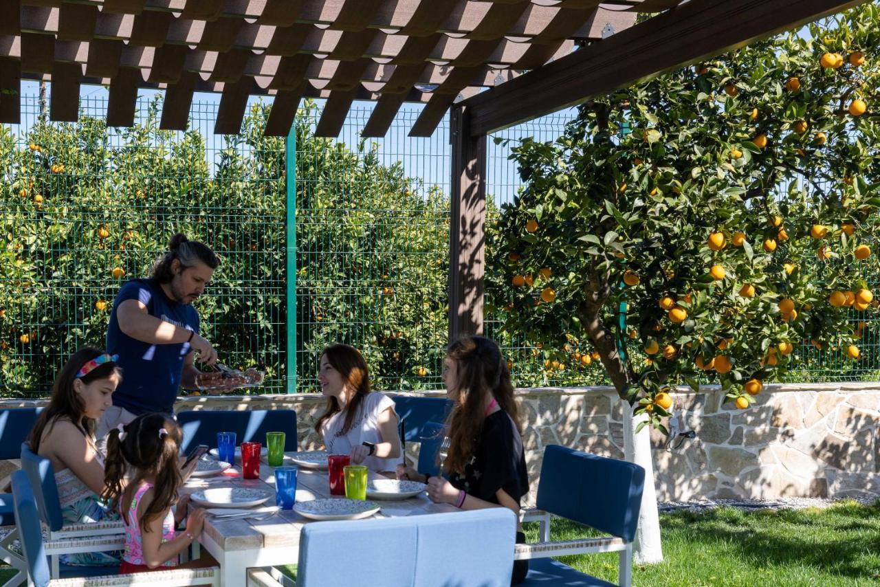 Desa Green Homes Epidaurus Экстерьер фото