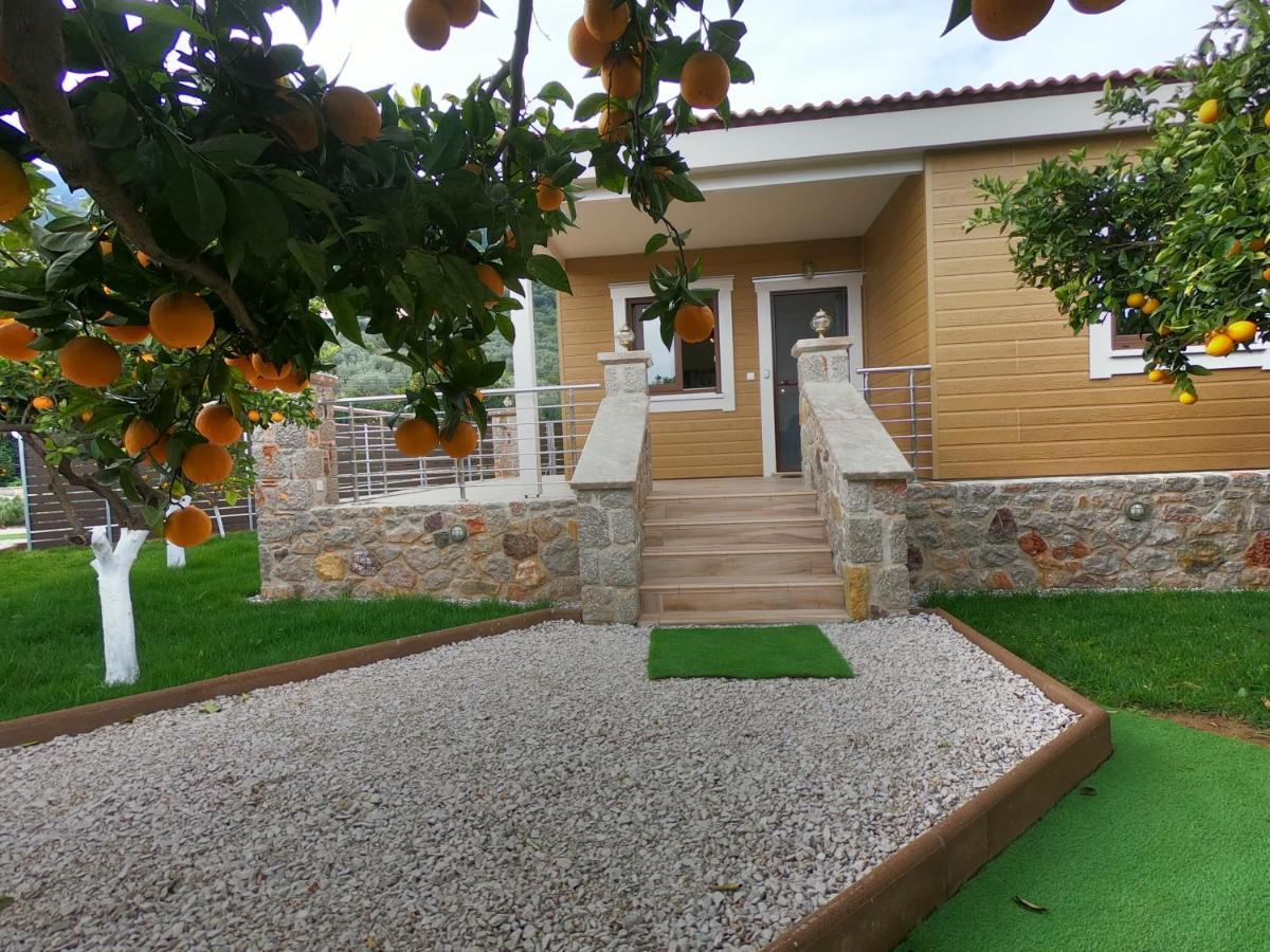 Desa Green Homes Epidaurus Экстерьер фото
