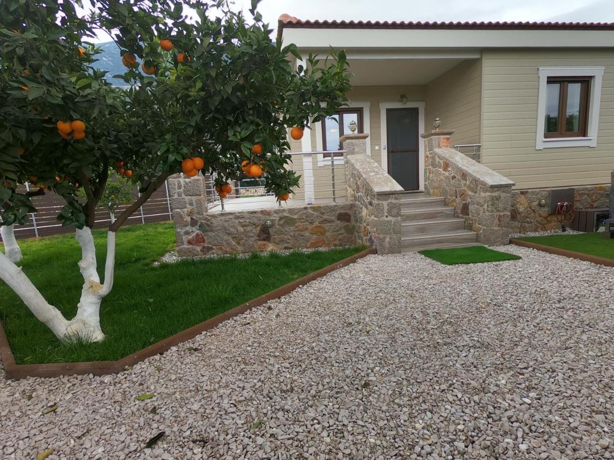 Desa Green Homes Epidaurus Экстерьер фото